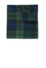 Port Authority® Core Printed Fleece Blanket. BP61