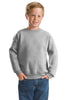 Hanes®  -  Youth Comfortblend® EcoSmart® Crewneck Sweatshirt.  P360