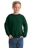 Hanes®  -  Youth Comfortblend® EcoSmart® Crewneck Sweatshirt.  P360