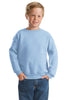 Hanes®  -  Youth Comfortblend® EcoSmart® Crewneck Sweatshirt.  P360