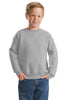 Hanes®  -  Youth Comfortblend® EcoSmart® Crewneck Sweatshirt.  P360
