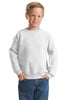 Hanes®  -  Youth Comfortblend® EcoSmart® Crewneck Sweatshirt.  P360