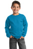 Port & Company® - Youth Crewneck Sweatshirt.  PC90Y