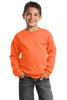 Port & Company® - Youth Crewneck Sweatshirt.  PC90Y