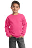 Port & Company® - Youth Crewneck Sweatshirt.  PC90Y
