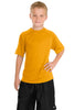 Sport-Tek® Youth Dry Zone® Raglan T-Shirt.  Y473