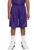 Sport-Tek® Youth PosiCharge Mesh Reversible Spliced Short. YT565"